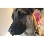 Profile Picture of Aimee Andrews (@im_only_me_006) on Instagram