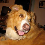 Profile Picture of Mark Sugarman (@sugarcubedbklyn) on Youtube