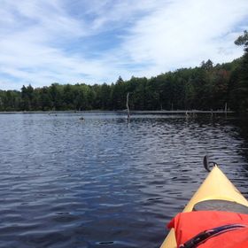 Profile Picture of Brian Hylander (@brianhylander) on Pinterest