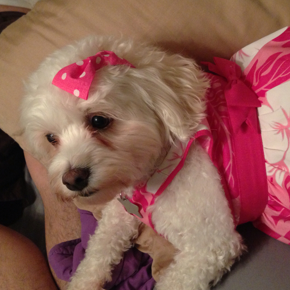 Profile Picture of Lysa Lysa (@lysatnguyen) on Poshmark