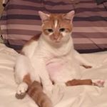 Profile Picture of Myrna Espinoza (@myrna_espinoza) on Instagram