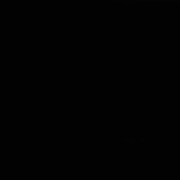 Profile Picture of Noel Collado (@noel2funny_) on Poshmark