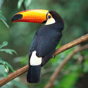 Profile Picture of Seth Hendrickson (@MartialArtsMan314) on Youtube