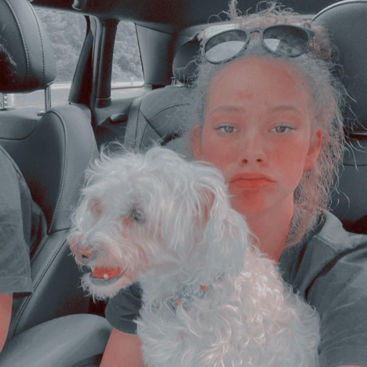 Profile Picture of Quit (@starbuckshaschak) on Tiktok