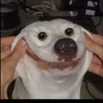 Profile Picture of Aaron Clevenger (@aaron.clevenger.915114) on Facebook