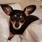 Profile Picture of Sylvia Simons (@simons5254) on Instagram