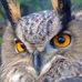 Profile Picture of James Brausen (@james.brausen.10) on Facebook