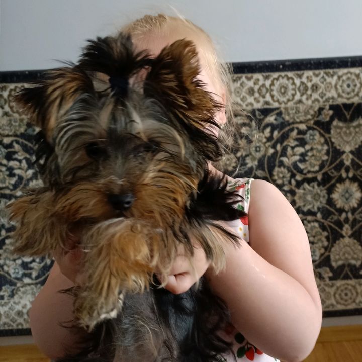 Profile Picture of jolantaszulc (@jolantaszulc1) on Tiktok