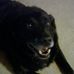 Profile Picture of Stephen Buddy Weiser Koehl (@buddy.weiser.Sr) on Facebook