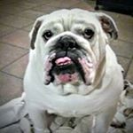 Profile Picture of Vincent Garrity (@garrityvincent) on Instagram