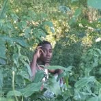 Profile Picture of Johnson Chibo (@Johnson-Chibo) on Facebook