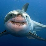 Profile Picture of Devlin Gray (@graydevlin) on Instagram