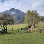 Carlos Barriga Z. - Instagram Profile Picture of Carlos Barriga Z. (@carlos.abz99) on Instagram