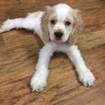 Profile Picture of Jasper Jester Bradshaw (@jasperbradshaw) on Instagram