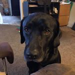 Myles Baker Sr. - Instagram Profile Picture of Myles Baker Sr. (@bakersr.myles) on Instagram