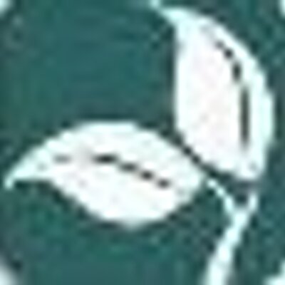 Profile Picture of Janet Crance (@HEPIonline) on Twitter