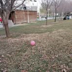 Profile Picture of Arash Mirzadeh (@Arash-Mirzadeh) on Facebook