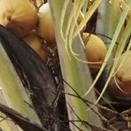 Profile Picture of Greydy Marcela Cardenas (@Greydy-Marcela-Cardenas) on Facebook