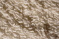Profile Picture of Terrycloth - Wikipediaon Wikipedia