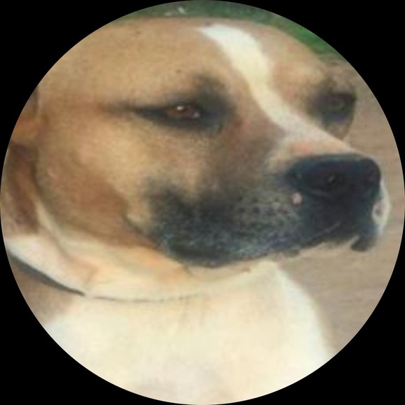 Profile Picture of Joseph Prevette (@jtp1537) on Poshmark