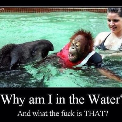 Profile Picture of Greg Fortune (@gregkfortune) on Twitter