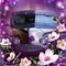 Profile Picture of Nancy Pride (@nancy.pride.9) on Facebook