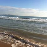 Profile Picture of Ann Constable (@constable.ann) on Instagram