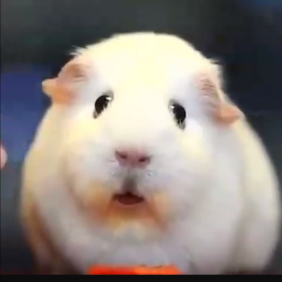 Profile Picture of Cassandra Jaimes (@cassyj3) on Poshmark