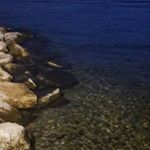 Mike Migliaccio - Instagram Profile Picture of Mike Migliaccio (@mike_migliaccio89) on Instagram