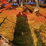 Utsuki Ieda - Instagram Profile Picture of Utsuki Ieda (@ucyam5321) on Instagram