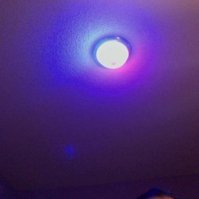 Profile Picture of Robert Alexander (@AlexanderRobert) on Twitter