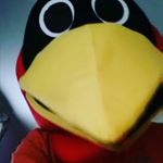 Profile Picture of Jesse Action Mattson (@jamjessejam) on Instagram