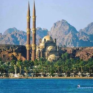 Profile Picture of Azza Abdalla (@AzzaAbdalla11) on Twitter