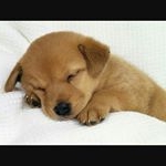 Profile Picture of Alexa Hendrix (@alexa_hendrix_47) on Instagram