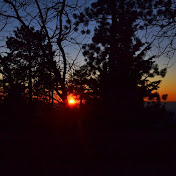 Profile Picture of Jodi Dennis (@jodidennis4229) on Youtube