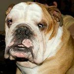 Profile Picture of Karl McCormack (@mccormackkarl) on Instagram