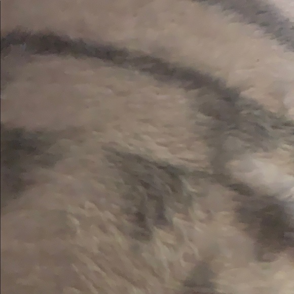 Profile Picture of Janet Cuevas (@janetc28) on Poshmark