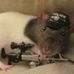 Profile Picture of Darryl Wainright (@darryl.wainright) on Facebook
