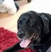 Profile Picture of Harvey Clark (@harvey.clark.3781) on Facebook