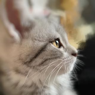 Profile Picture of Eagle Wong (@georgeeagleton) on Instagram