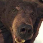 Rick Fesler - Instagram Profile Picture of Rick Fesler (@festerfamily) on Instagram