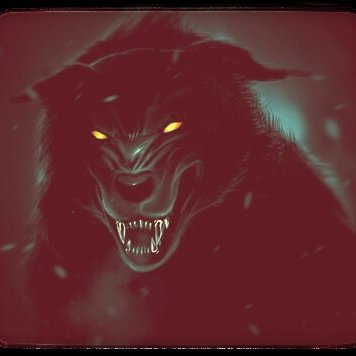 Profile Picture of Jason Wolfgang (@jasonWolfgang77) on Twitter