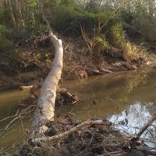 Profile Picture of Latricia Fowler (@hiimfatpat) on Twitter