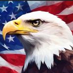 Profile Picture of Zachary Bertrand (@zachary.bertrand.165) on Facebook