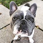 Profile Picture of Oscar Winston Patterson (@oscar_winston_patterson) on Instagram