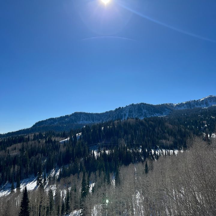 Profile Picture of Hilary Farrell (@capy_bara_2626) on Tiktok