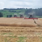 Profile Picture of Christopher Sheehan (@christopher.sheehan.129) on Facebook