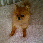 Profile Picture of Ruby Farrell (@ruby_cool) on Instagram