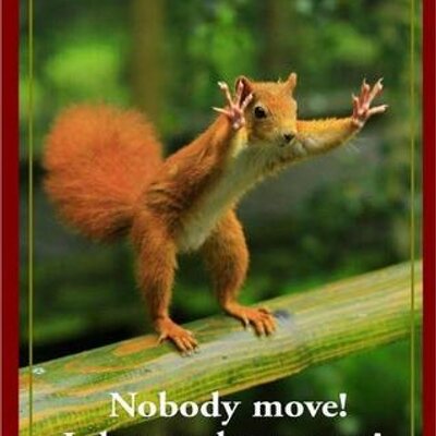 Profile Picture of Zach Henley (@zhenley74) on Twitter