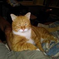 Profile Picture of Karen Larsen (@karen-larsen-19) on Quora